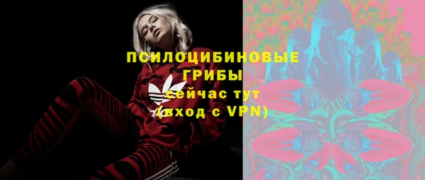 эйфоретик Арсеньев