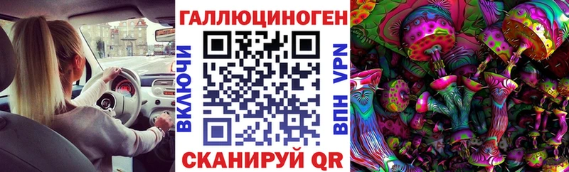 Псилоцибиновые грибы Psilocybe  купить наркотики цена  Сланцы 